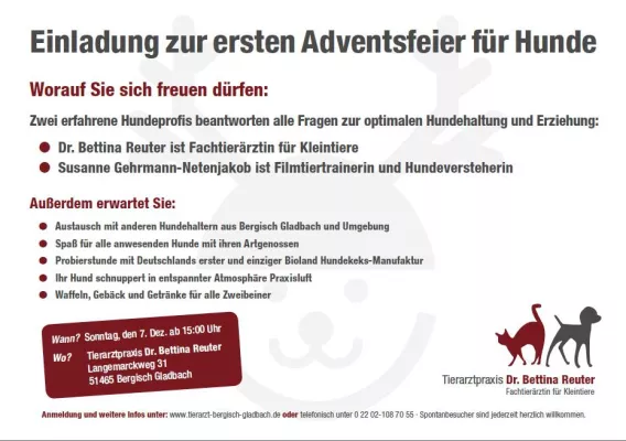 Bild: Erste Adventsfeier für Hunde in Bergisch-Gladbach