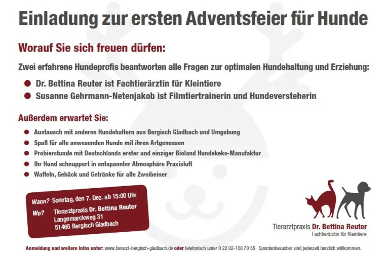 Erste Adventsfeier für Hunde in Bergisch-Gladbach Bild: Erste Adventsfeier für Hunde in Bergisch-Gladbach