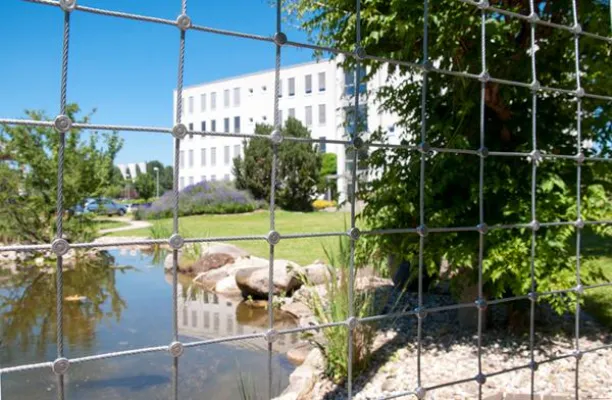 Bild: Unbemerkt der Detektion ins Netz gegangen