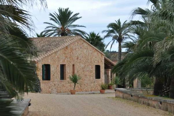 Bild: Frühjahrsputz für den Körper: Auf Mallorca die Natur genießen und dem Körper zu mehr Stabilität verhelfen