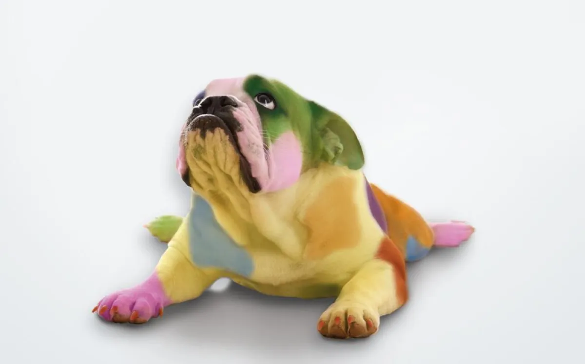 Werden Sie zum bunten Hund