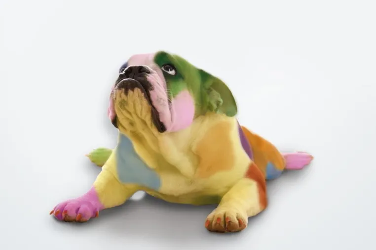Bekannt wie ein bunter Hund? Bild: Bekannt wie ein bunter Hund?