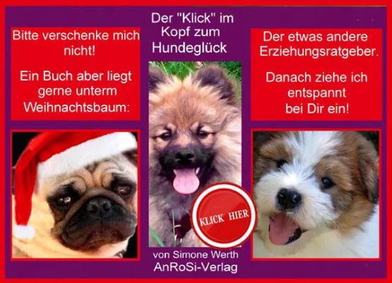 Bild: Das Buch über Hundeerziehung zu Weihnachten - ein Geschenk unter 20 Euro