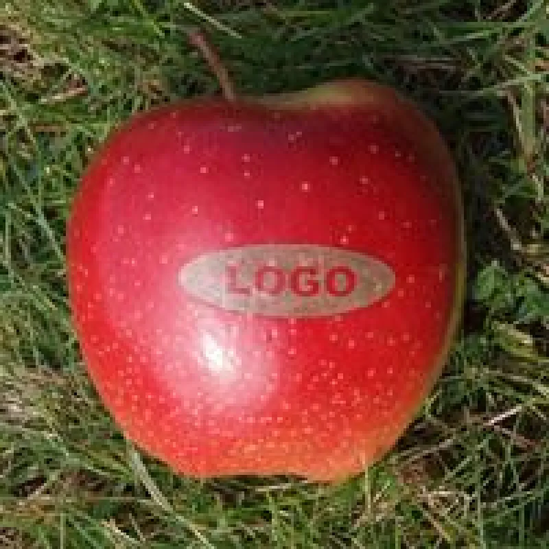 Der Logo-Apfel