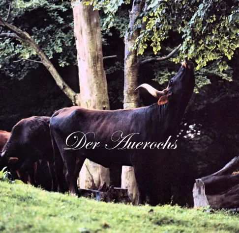 Bild: Autor Walter Frisch mit neuer Website für Fachbuch 'Der Auerochs' online