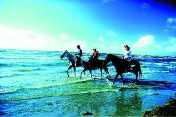 Bild: Golfen, Radfahren, Wandern, Wassersport - Texas für Outdoor-Enthusiasten