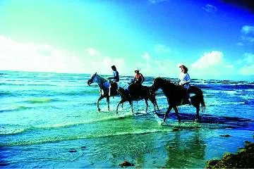 Bild: Golfen, Radfahren, Wandern, Wassersport - Texas für Outdoor-Enthusiasten