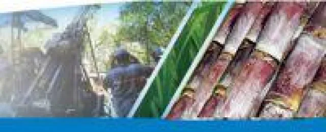 Bild: Aguia durchschneidet wichtige Zone auf ‚Três Estradas'