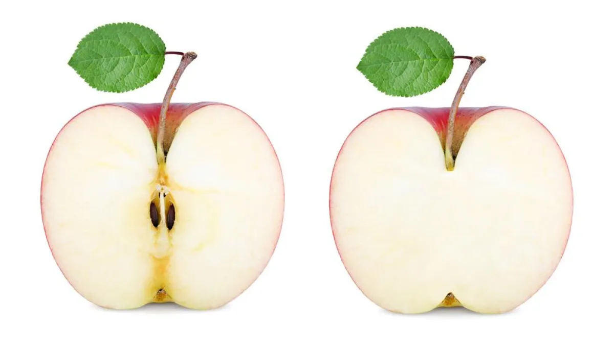 Neuer CADdoctor SX 4.2: Die Außenhülle-Funktion von CADdoctor entfernt das überflüssige Innenleben.