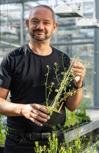 Raphael Mercier erhält renommierten VinFuture-Preis für Arbeiten an Nutzpflanzen, die ihren eigenen Klon bilden Bild: Raphael Mercier erhält renommierten VinFuture-Preis für Arbeiten an Nutzpflanzen, die ihren eigenen Klon bilden