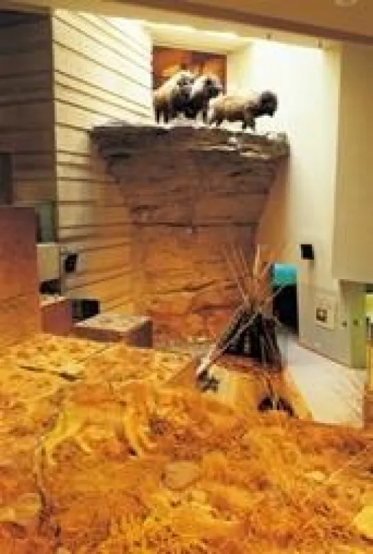 Der Head-Smashed-In Buffalo Jump (c) Travel Alberta
