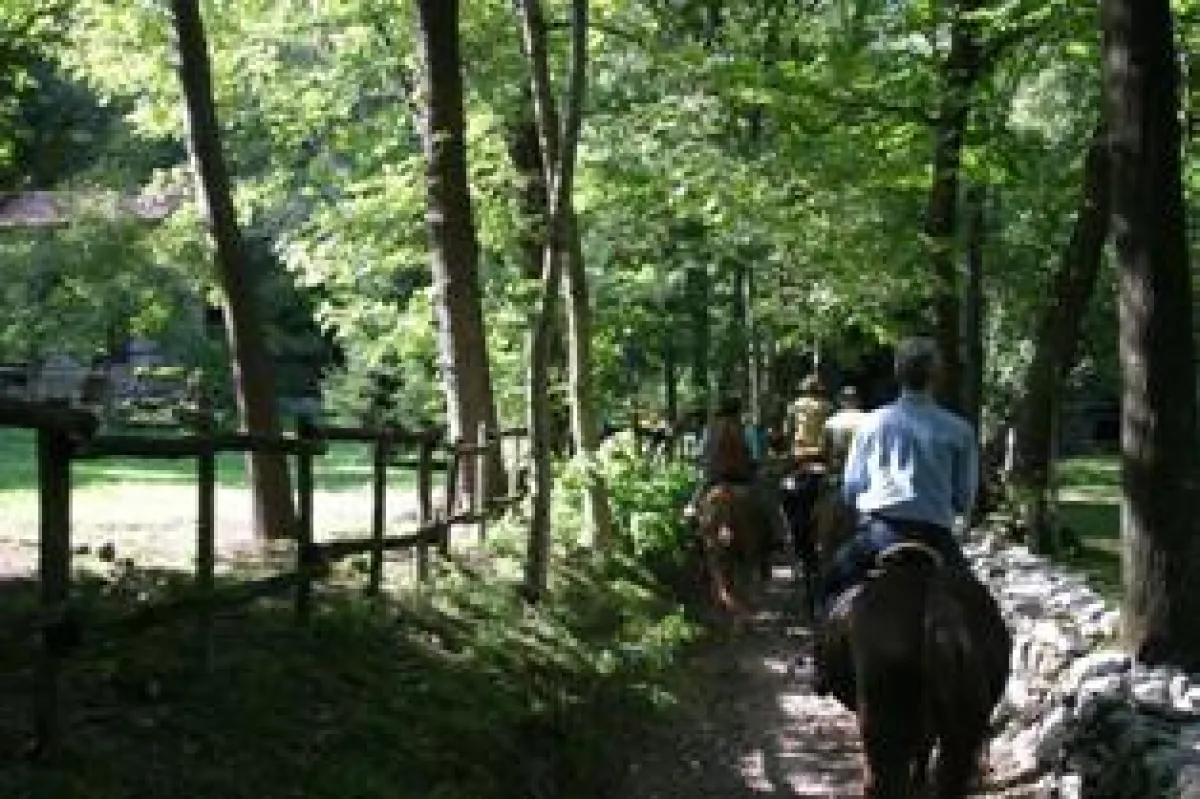 Ausritt in Varese © CamCom Varese