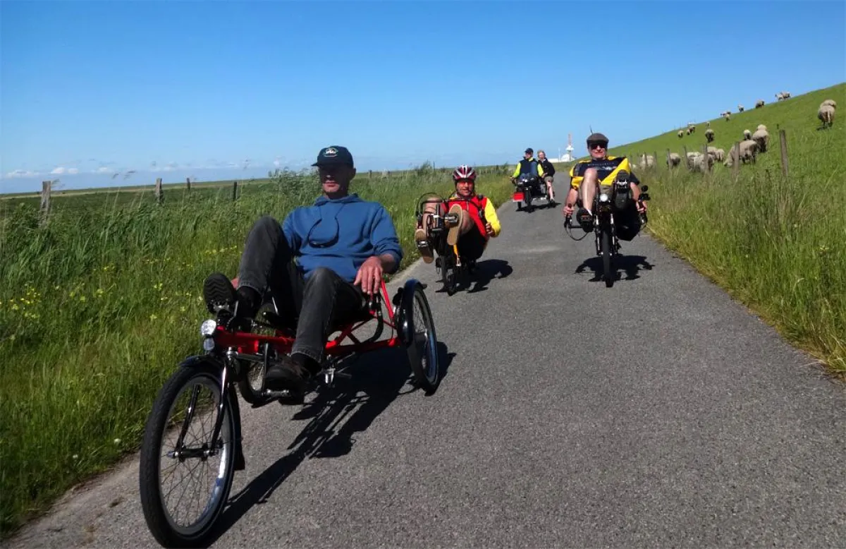 Entspannende Toxy Liegerad-Erlebnis-Tour im Norden Hamburgs