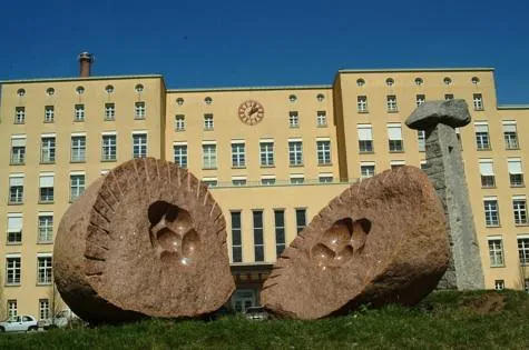 Bild: Als erstes Klinikum in Bayern: dualer Studiengang „Gesundheit und Pflege“