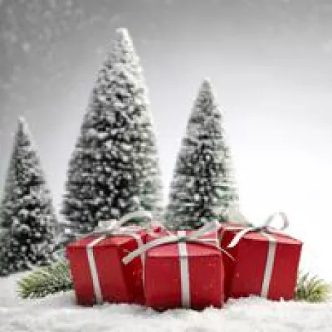 Mit Gaumen und Köpfchen genießen Bild: Mit Gaumen und Köpfchen genießen