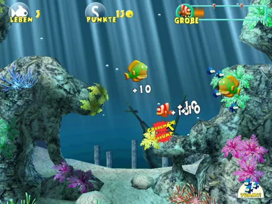 Bild: Little Piranha: Da knurrt dem Fisch der Magen
