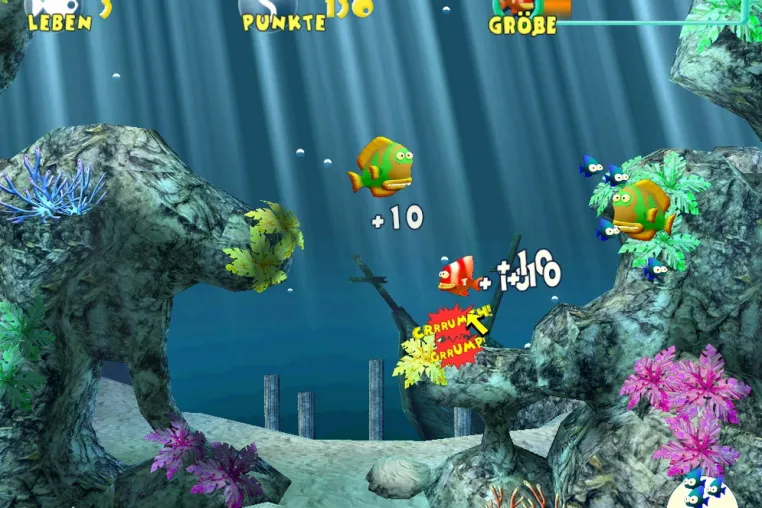 Bild: Little Piranha: Da knurrt dem Fisch der Magen