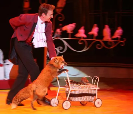 Artisten-Workshop im Familotel Feldberger Hof Bild: Artisten-Workshop im Familotel Feldberger Hof