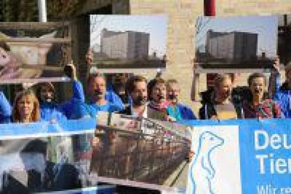 Bild: Gericht stellt Verfahren gegen Schweinehochhaus-Enthüller ein - Tierschutz-Aktion vor Gericht