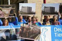 Bild: Gericht stellt Verfahren gegen Schweinehochhaus-Enthüller ein - Tierschutz-Aktion vor Gericht