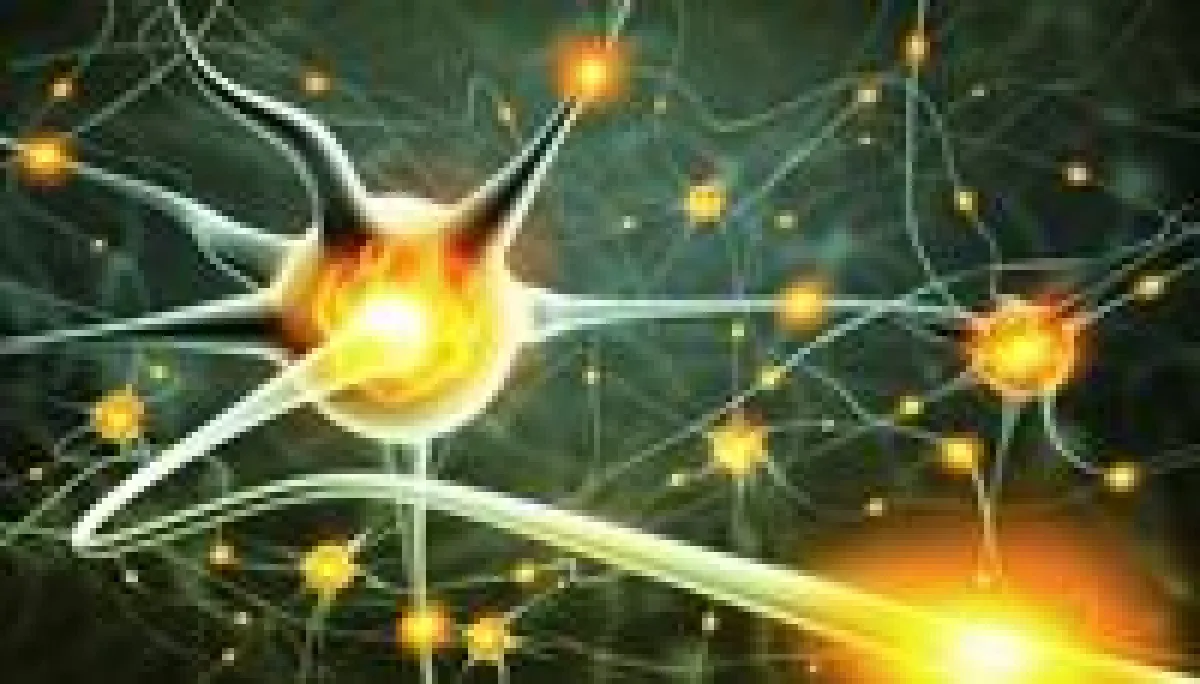 Initialzündung REV-Methode: Gehirnzellen im Aktivmodus