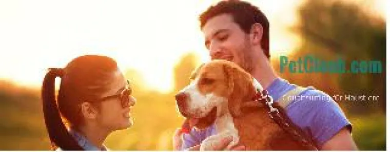 Zahlen für Tierbetreuung? Das war gestern Bild: Zahlen für Tierbetreuung? Das war gestern