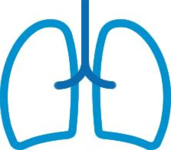 Bild: Am 19. November 2008 ist der Welt-COPD-Tag
