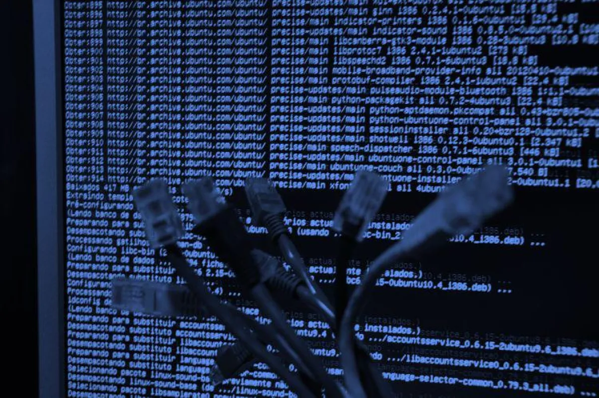 Erpressungstrojaner im Fokus