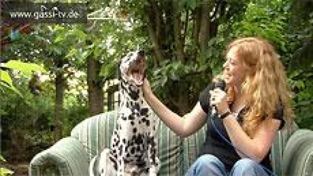 Bild: Das Apfelbaum-Rudel