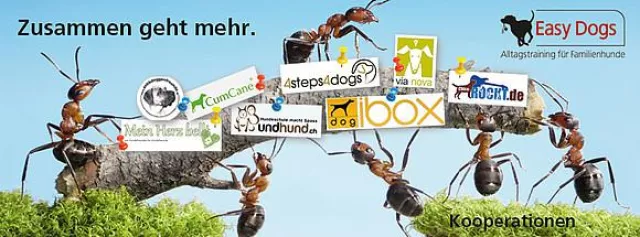 Bild: Easy Dogs kooperiert mit starken Partnern