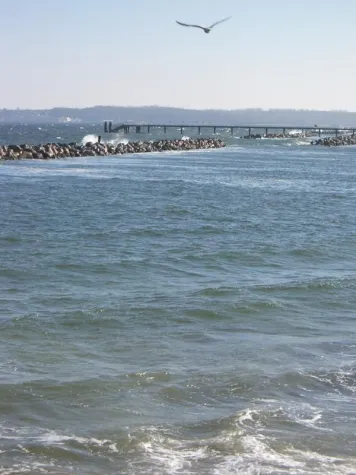 Fotowettbewerbe rund um Meer & Küste Bild: Fotowettbewerbe rund um Meer & Küste