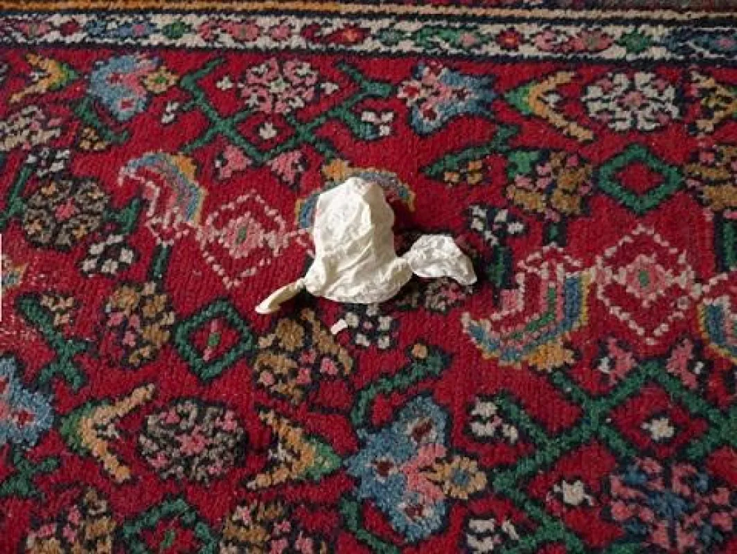 Balloon, 2010, Maria L. Felixmüller
