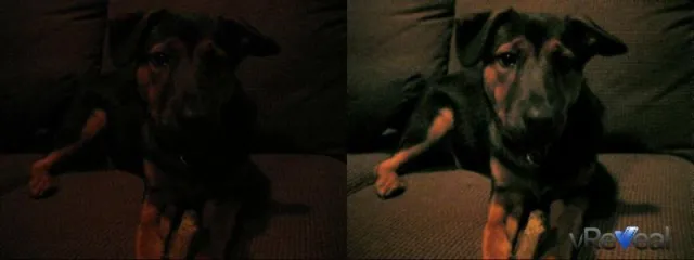 MotionDSP und NVIDIA stellen Videooptimierungs-Software vReveal vor Bild: MotionDSP und NVIDIA stellen Videooptimierungs-Software vReveal vor