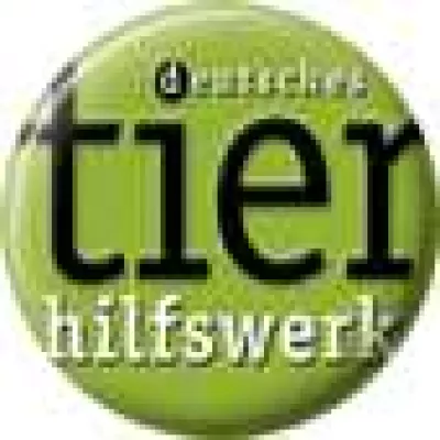 Schweine-Schlachtung für die Einschaltquote - Tierhilfswerk ruft zum Boykott vom TV-Sender Bild: Schweine-Schlachtung für die Einschaltquote - Tierhilfswerk ruft zum Boykott vom TV-Sender