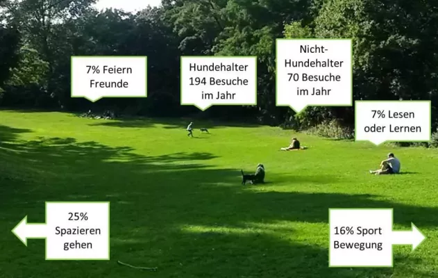 Neue Studie zur Parknutzung: Die größten Probleme im Park sind Müll und fehlende Toiletten Bild: Neue Studie zur Parknutzung: Die größten Probleme im Park sind Müll und fehlende Toiletten