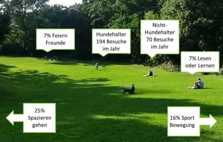 Bild: Neue Studie zur Parknutzung: Die größten Probleme im Park sind Müll und fehlende Toiletten