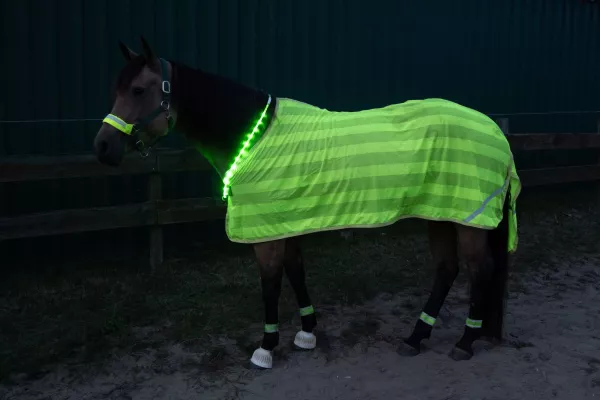 Tier-Tipps der Uelzener: Sicher durch die dunkle Jahreszeit - Die richtige Beleuchtung für Pferde im Herbst Bild: Tier-Tipps der Uelzener: Sicher durch die dunkle Jahreszeit - Die richtige Beleuchtung für Pferde im Herbst