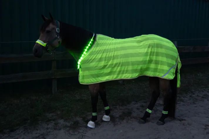 Bild: Tier-Tipps der Uelzener: Sicher durch die dunkle Jahreszeit - Die richtige Beleuchtung für Pferde im Herbst