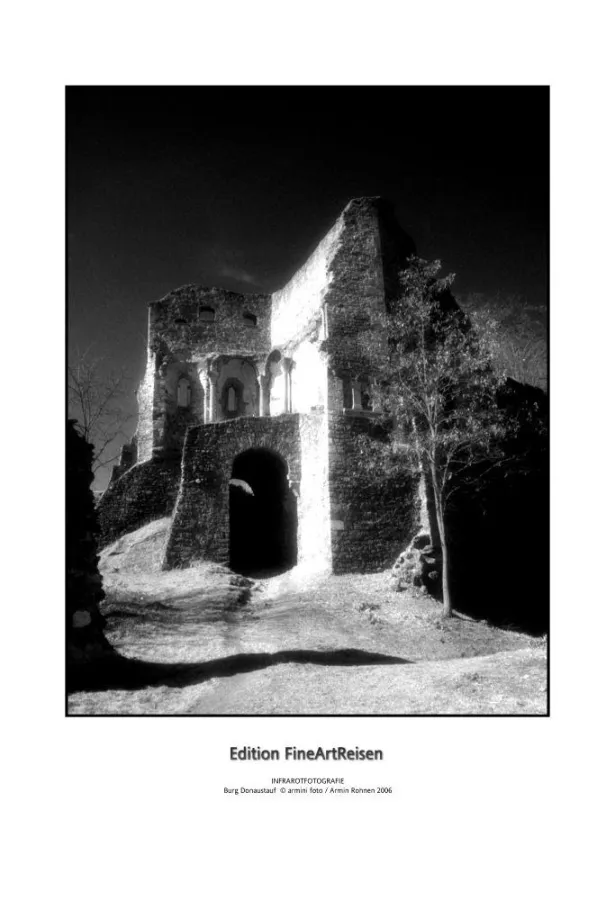 Burg Donaustauf (c) armini foto, Armin Rohnen 2006