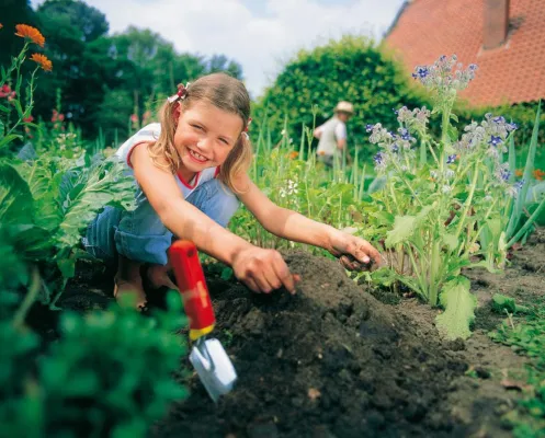 Bild: Frühjahrsfrische für den Garten