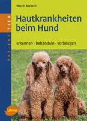 Bild: Hautkrankheiten beim Hund