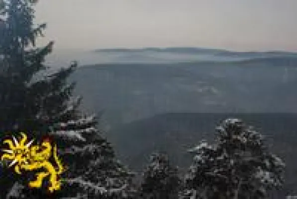 Bild: Winterlandschaft Pfälzerwald, erlebnisreiche Entdeckungen in der Mittelhaardt