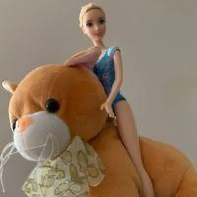 Bild: Pferdehalterhaftpflicht wird für Pferdebesitzer kompliziert