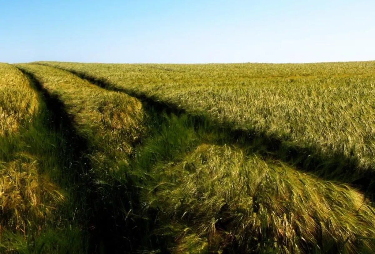 X. INTERDISZIPLINÄRER SALON FÜR EUROPA