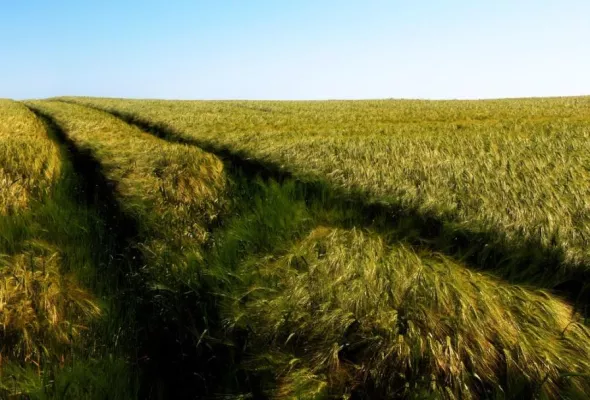 Bild: MADE IN EUROPE - Produktionsstätte? Dienstleister? Ideengeber?