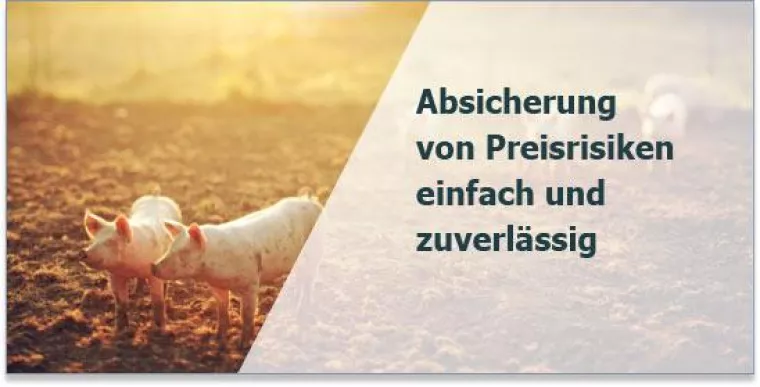 Bild: Warenterminkontrakte als Instrument des Risikomanagements