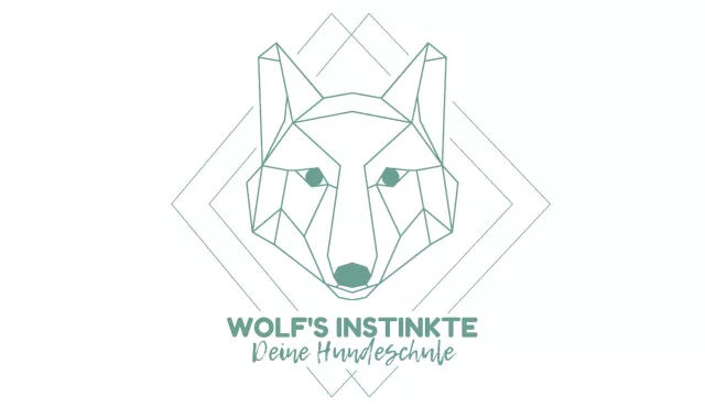 Bild: Die wichtigste Zeit für Deinen Welpen – Schwierigkeiten bei der Welpensozialisierung