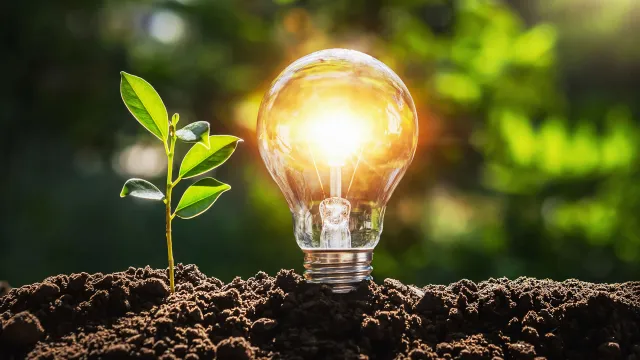 Bild: Weber GreenTech investiert in innovative Biogas-Technologie von Renergon