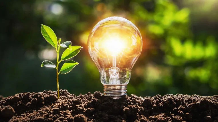 Bild: Weber GreenTech investiert in innovative Biogas-Technologie von Renergon