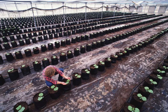 Bild: Zertifizierte Lebensmittelsicherheit